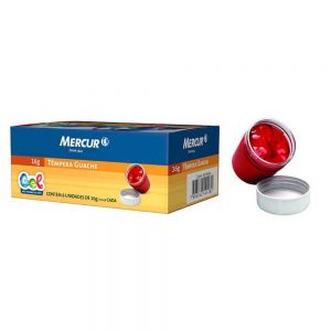 ”GUACHE C/6 CORES MERCUR GEL”